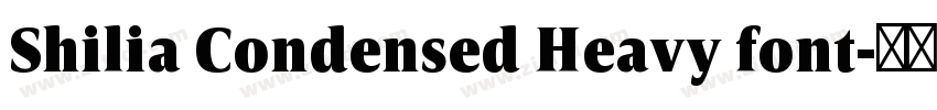 Shilia Condensed Heavy font字体转换
